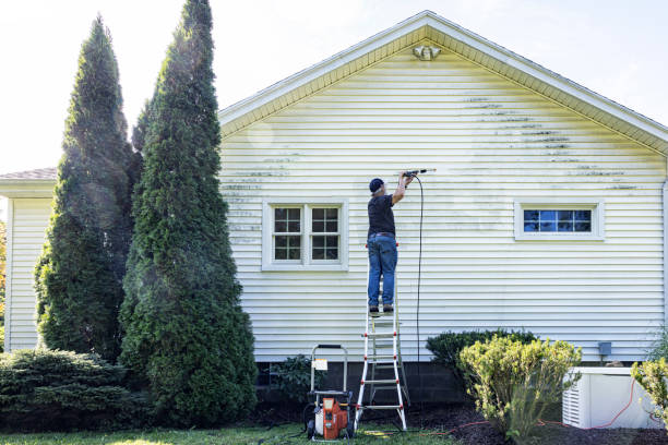Best Fence Cleaning  in Wise, VA